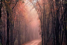 2020中国十大白酒，2021中国白酒排行