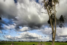 2020中国十大白酒，2021中国白酒排行