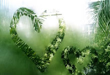 2020中国十大白酒，2021中国白酒排行