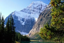 2020中国十大白酒，2021中国白酒排行