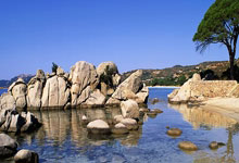 2020中国十大白酒，2021中国白酒排行